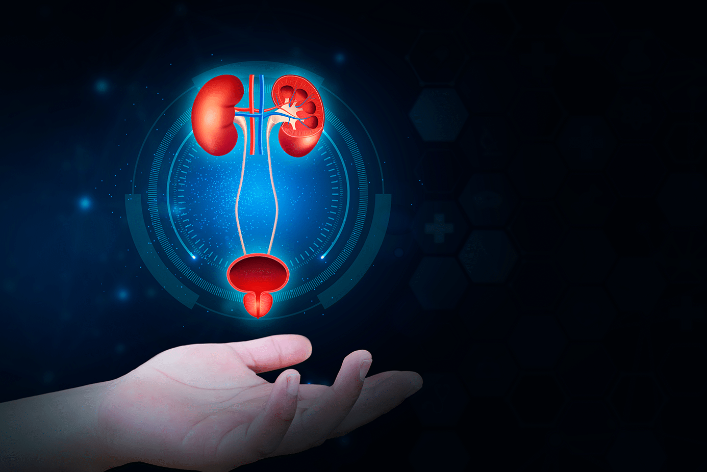 Urology
